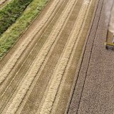 Les moissons de céréales ont été mauvaises cette année en raison des fréquentes pluies (archives). KEYSTONE/SALVATORE DI NOLFI